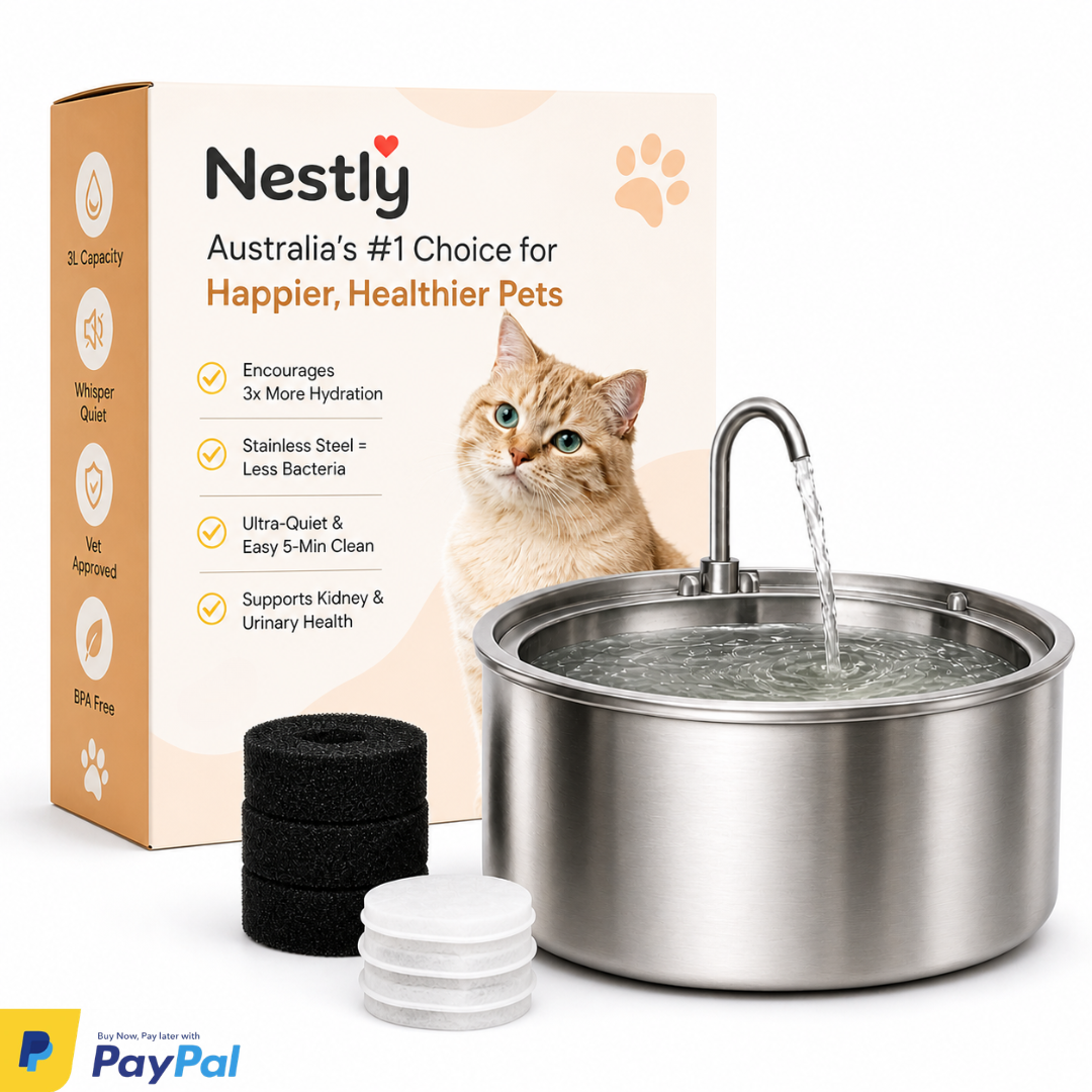 Nestly Flow Smart Water Fountain - 50% OFF