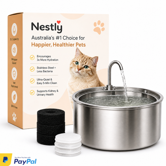 Nestly Flow Smart Water Fountain - 50% OFF