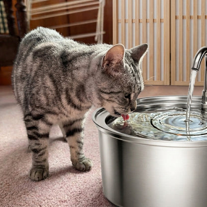 Nestly Flow Smart Water Fountain - 40% OFF